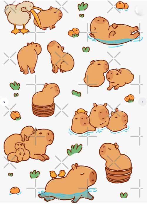 Hình nền capybara cute cho điện thoại siêu chill