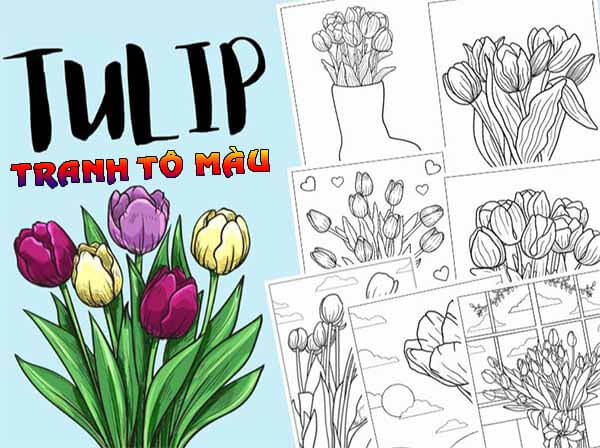 1001+ Tranh tô màu hoa Tulip đẹp và ý nghĩa