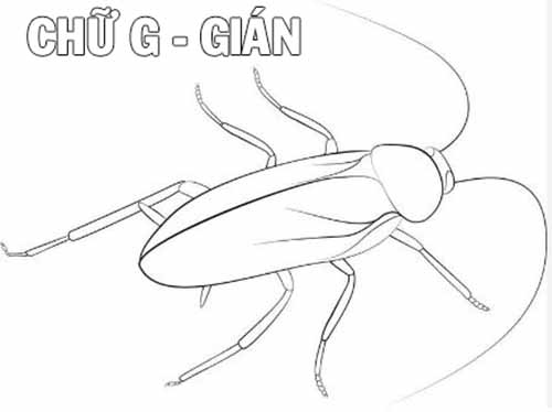 Hình tô màu chữ G - con Gián