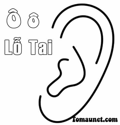 Lỗ Tai - Tranh tô màu chữ Ô