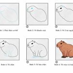 Cách vẽ Capybara dáng ngồi cute