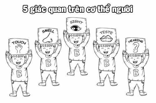 Tải ngay tranh tô màu các giác quan của bé - Học mà chơi!