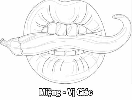 Hình tô màu giác quan - Cái miệng