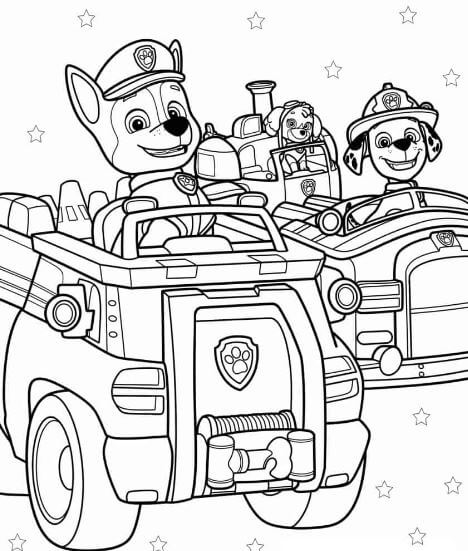 Paw Patrol – Thế giới đầy màu sắc đang chờ bé khám phá!